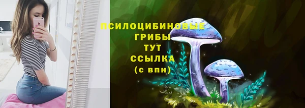 твердый Богородск